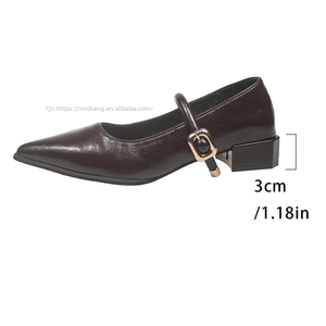 Autumn Pointed Toe Low-Heeled Flats Retro New Style Thick Heel Shallow Mouth Large Size Professional Flats for Women - Product Image 6