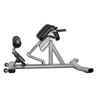Équipement de fitness commercial 45 degrés romain Hyperextension chaise Gym dos Extension banc Machine