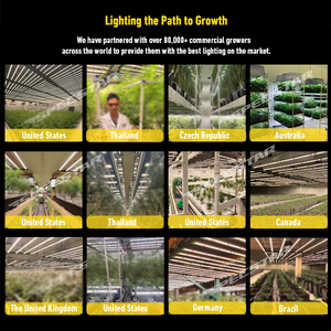 US/<span class=keywords><strong>CA</strong></span> Stock disponible regulable 645W/720W/1000W Led Grow Light Lm301H Evo Lm301B Everlight - Product Image 6