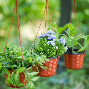 Maceta Colgante de PP Reforzado y Duradero <span class=keywords><strong>para</strong></span> Plantas Araña y Pothos, Jardinera Completa con Gancho <span class=keywords><strong>para</strong></span> Balcón - Product Image 1