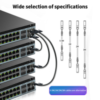 Cable DAC SFP+ HORACO de 100G, 1M 2M, Cable Twinax Pasivo de Cobre de Conexión Directa para Switches MikroTik/Netgear/Zyxel, Uso en Centros de Datos