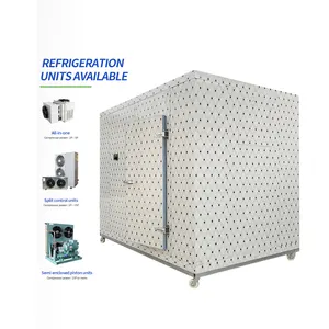 Medium And Low Temperature Fish Cold Room Storage/Refrigerator Freezer/Walk In Cold Room