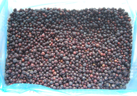 Sinocharm Hoge Brix Bessen Fruit Ribes Nigrum Iqf Bevroren Zwarte Bes