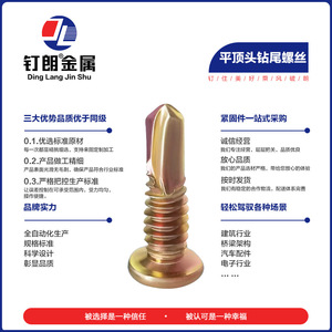 Ding Lang Jin Shu <b>Flat</b> Head Self Tapping <b>Screws</b> M4.8x16 Metric Grade A For Construction Industry - Product Image 5