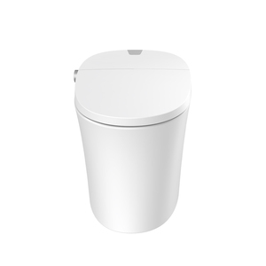 Умный туалет по конкурентоспособной цене - Product Image 5