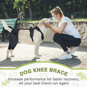 <span class=keywords><strong>Dog</strong></span> <span class=keywords><strong>Pet</strong></span> Venda Quente Joelheiras para Suporte de Joelho Recuperação Pós-Cirurgia e Proteção Conjunta Perna Guardas Trela Do Cão - Product Image 3