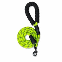 Laisse Réfléchissante pour Chien en Nylon Tressé, Sécurité Nocturne, Poignée Rembourrée Antidérapante, Mousqueton Robuste pour Grands, Moyens et Petits Chiens