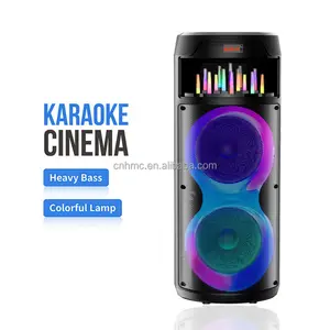 ZQS8222 ZQS8223 New Dual 8" high end bluetooth speaker bass high quality loud karaoke speaker with mic and Remote Control