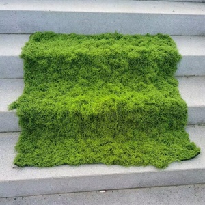 Gesimuleerde Mos Indoor Landschap Gras Micro Kunstgras Serie Kunststof Raam Landscaping Serie Kunstmatige Groene Plant Muur - Product Image 1