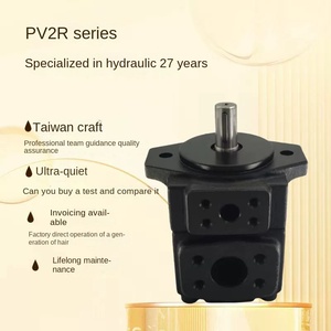 HUADEYEYA สำหรับปั๊มน้ำมันไฮดรอลิกแบบใบพัดแรงดันสูง 100 บาร์ รุ่น P'v2R1 ที่คุ้มค่าและประหยัดต้นทุน - Product Image 6