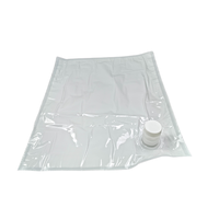 Sac Bag-in-Box transparent stérile de 10 L avec couvercle pour vin de fruits, jus, lait, liquides, sac BIB en aluminium