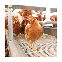 Plancher en plastique à lattes pour poulets de chair en élevage
