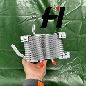 <span class=keywords><strong>Radiateur</strong></span> d'<span class=keywords><strong>huile</strong></span> 32910-F6010 d'occasion pour Lexus NX 2021 - Product Image 1