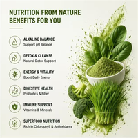Poudre de superaliments verts quotidiens en gros OEM, saveur personnalisée, probiotiques ajoutés, poudre de boisson Super Greens pour marque privée