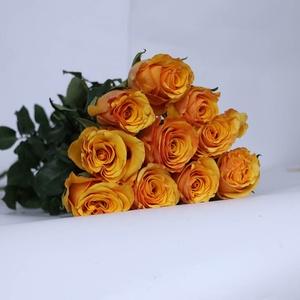 Rosas naturales de naranja para decoración del hogar, suministro de tierra agrícola de China, flores de corte fresco, precio competitivo - Product Image 3