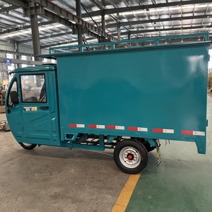 Mini Furgone Elettrico Cinese Triciclo Chiuso Personalizzabile con Motore Sistema Tetto Batteria al Litio Ottimizzazione Carico Bianco Blu - Product Image 5