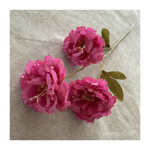 Fleurs artificielles Meiyu Craft Flower Factory, boules de neige à trois têtes, 30 cm, 100 cm, en soie, pour mariage et décoration intérieure - Product Image 5
