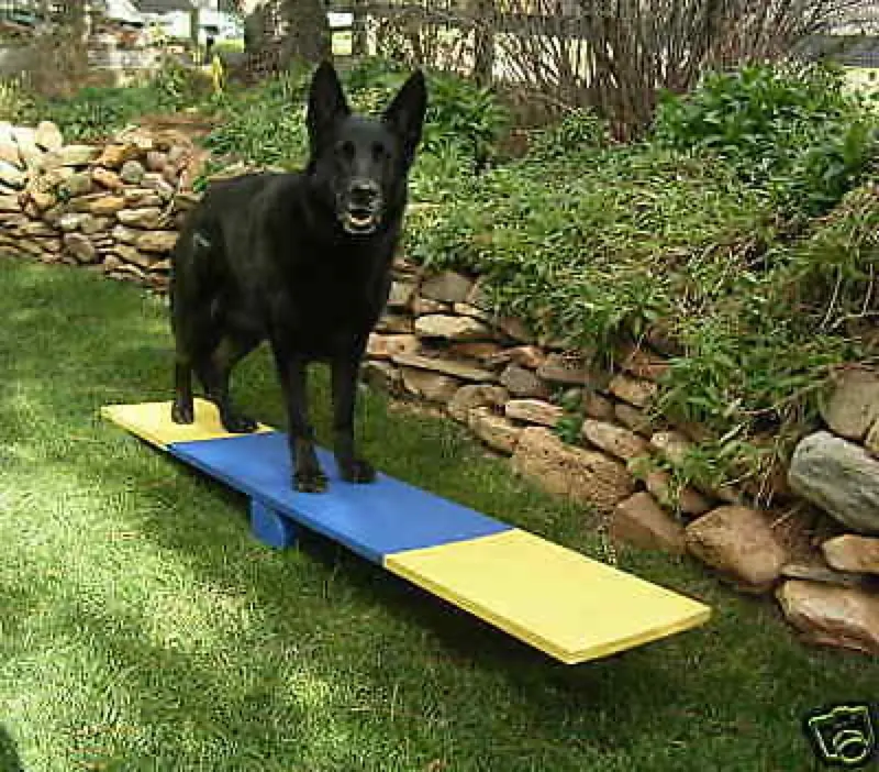 BunnyHiQQB001調整可能な犬のティーターラバートップ犬の敏捷性シーソートレーニングとエクササイズ用