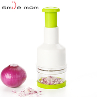 Presse manuelle multifonctionnelle Mini Oignon Gingembre Ail Broyeur Hachoir alimentaire