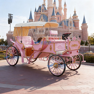 Calèche de balade rose, calèches de mariage, calèche électrique de balade de type princesse, calèche à chevaux à vendre, calèche royale haut de gamme - Product Image 3
