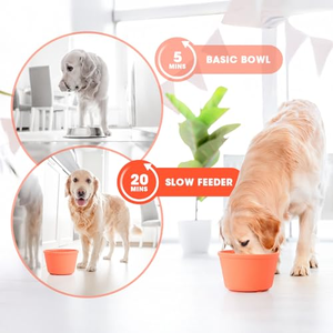 NOUVEAU 2024 Bol d'alimentation lente anti-déversement rond de haute qualité, distributeur d'eau 2-en-1 pour chien avec ventouse - Product Image 5
