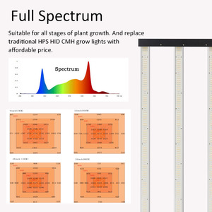 Lm301h Evo Lm281b pianta a Led coltiva luce 170cm 180cm di lunghezza <span class=keywords><strong>5x8</strong></span> coltiva luci 1000W Ac brasile noi locali - Product Image 3