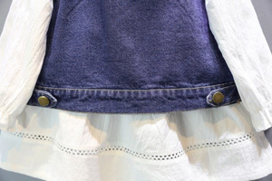 Envío Gratis Nuevo al por Mayor Conjuntos de Ropa para Niñas de Manga Larga de Mezclilla Sólida Dulce para Otoño Poliéster/Algodón 2-6 Años Fabricante Chino - Product Image 2