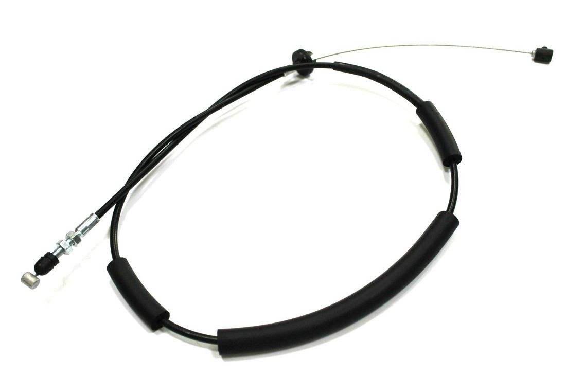 5000vt アセビ 2025年最新】5000vt アセビの人気アイテム - メルカリ