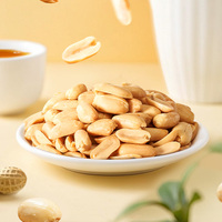 Cacahuètes Salées Grillées Décortiquées Blanchies Croustillantes – Snacks Riches en Protéines pour Bars et Fêtes – Vente en Gros