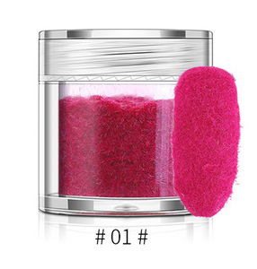 Ensemble de 10 poudres à ongles en velours de couleur française, paillettes floquées longue durée, pigment miroir pour manucure en salon - Product Image 6
