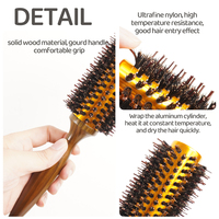 Poils de sanglier et brosse en Nylon cheveux Styler lissage cuir chevelu masseur peigne queue de Rat résistant à la chaleur mode peigne à cheveux ensemble
