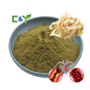 ผงยูจู (Polygonatum Odoratum) สมุนไพรจีนโบราณ สารสกัดจากยูจู (Polygonatum Odoratum) - Product Image 2