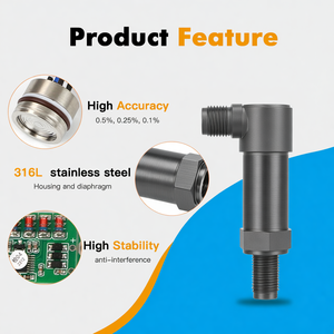 Sensor Sumergible GPT200 GAMICOS RS485 Digital de Acero Inoxidable 316 IP65/IP68 con 0.5% de Precisión, Certificado CE, Precio - Product Image 4