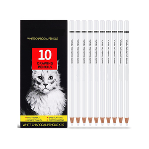 Crayon de fusain blanc professionnel doux moyen dur mine croquis ensemble de crayons de fusain dessin surbrillance crayons blancs - Product Image 6