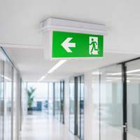 Panneau de sortie de secours LED 2W, étanche IP65, en polycarbonate, utilisation intérieure/extérieure, rechargeable, autonomie de 3 heures, CRI 95 élevé, dimmable