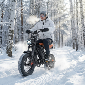 Bicicleta Eléctrica Económica de 250W con Motor sin Escobillas, 5 Velocidades, Batería Extraíble de 48V, Resistente al Agua, 32 Millas, 25KM/H, Frenos de Disco Dobles, para Adultos - Product Image 1