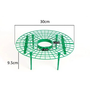 Les supports de fraisiers avec 4 pieds robustes protègent les fraises contre la moisissure, la pourriture et la saleté - Product Image 2
