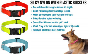 Kingtale Pays <span class=keywords><strong>Brook</strong></span> <span class=keywords><strong>Design</strong></span> De Luxe Colliers de Chien En Nylon de Différentes Couleurs et Tailles Disponibles - Product Image 3