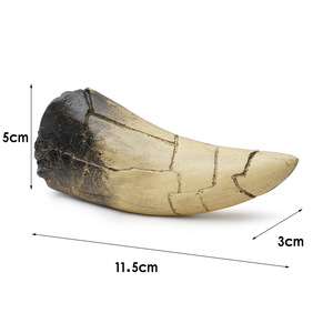 Figura Coleccionable <span class=keywords><strong>de</strong></span> Resina Realista Pintada a Mano, <span class=keywords><strong>Tigre</strong></span> con Dientes <span class=keywords><strong>de</strong></span> <span class=keywords><strong>Sable</strong></span> Retro Ecológico para SKE36 - Product Image 2