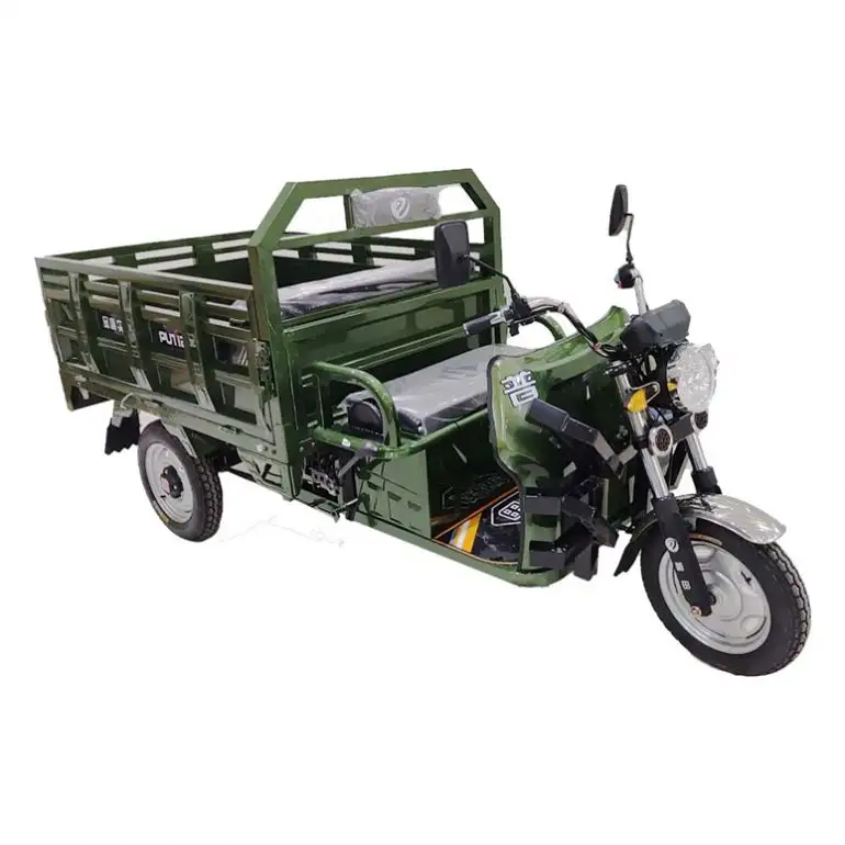 Factory Price 1600*1100Mm Tricycle Engine 175Cc Electric For Men Use