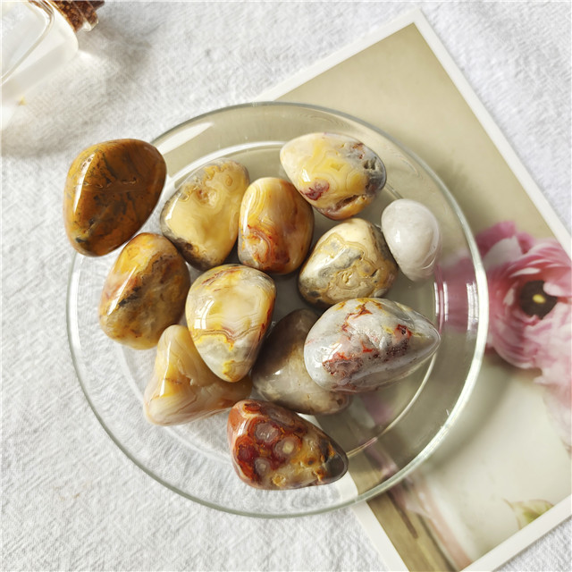 Agate folle