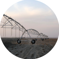 Système d'irrigation pivotante électrique moderne à commande intelligente automatique de 30/50/80/200 hectares / irrigation pivotante agricole
