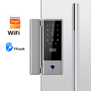 AIENDI Tuya Wi-Fi และระบบ Cloud Push พร้อมแป้นกดลายนิ้วมืออัตโนมัติ ระบบล็อคประตูกระจกแบบไร้กรอบ TTLock ระบบไบโอเมตริกซ์อัจฉริยะ AIENDI- - Product Image 1