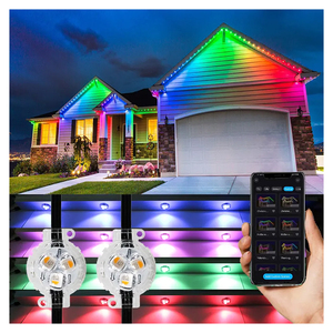 Luces LED de Punto SHIJI, Gran Venta, IP68, 24V, Permanentes, para Navidad, Iluminación Exterior, 30mm, LED SMD5050 RGBW, Luces de Punto Pixel - Product Image 2