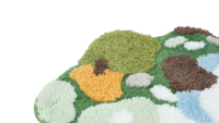 Tapis de mousse d'entrée en peluche irrégulier 3D personnalisé, haut et bas, tapis modernes touffus absorbant l'eau pour salle de bain à domicile