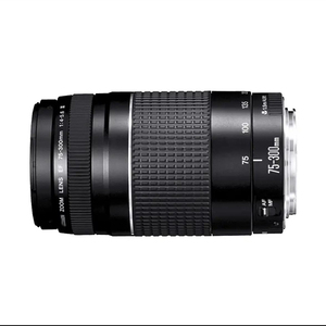 Objectif d'appareil photo d'occasion original en gros à prix abordable, objectif EF-S 75-300mm 1:4-5.6 - Product Image 2