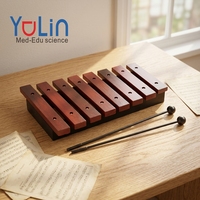 Music Teaching Children's Orff Percussion Instrument with case Children's Xylophone with 25 Tones 8 Notes Music Piano