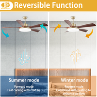 Ventilateur de plafond à pales larges en placage de noyer avec contrôle de minuterie, moteur DC, pour salon, villa et projets commerciaux