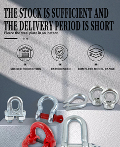 Chúng tôi loại thả giả mạo thép Bolt loại gian lận phần cứng biển clevis Bolt Nut mạ kẽm Bow Neo còng - Product Image 6