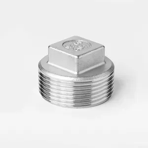 Stainless Steel Plumbing Fittings Pipe Heads Square Plug